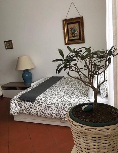 Fotos del hotel - Al Ponte Del Papa B&B