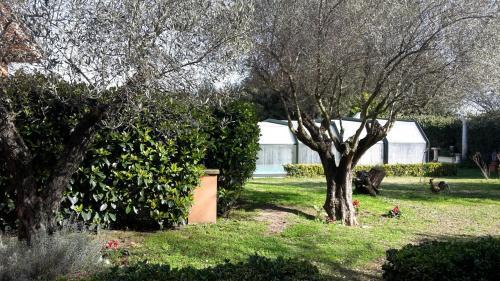 Fotos del hotel - Residence Casale Mostacciano