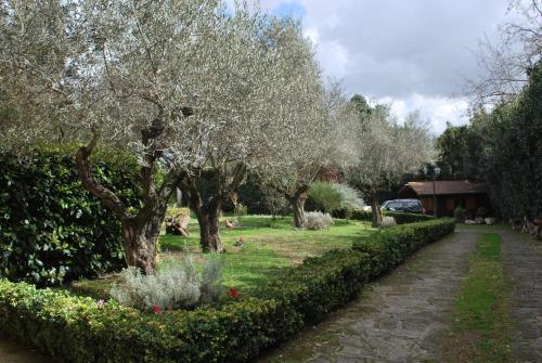 Fotos del hotel - Residence Casale Mostacciano