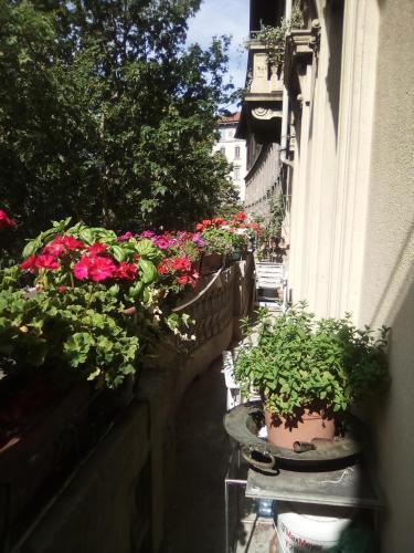 Fotos del hotel - CASA DI STEFANO