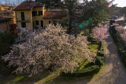 Fotos del hotel - Dimora Salviati