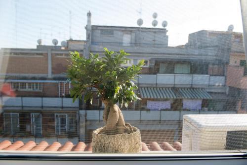 Fotos del hotel - Letto e Latte Roma Guest House