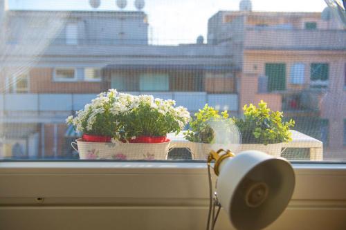 Fotos del hotel - Letto e Latte Roma Guest House