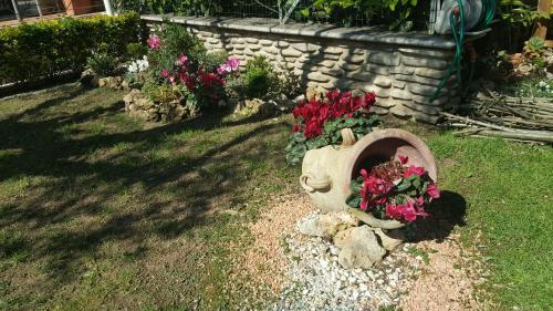 Fotos del hotel - Aurelia Garden Gold B&B