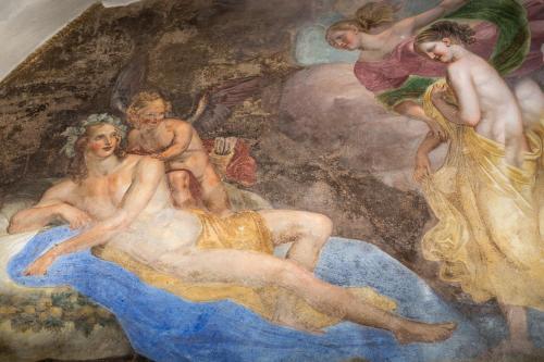 Fotos del hotel - Palazzo Roselli Cecconi