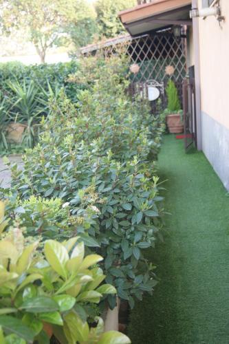 Fotos del hotel - Residenza i Ciclamini