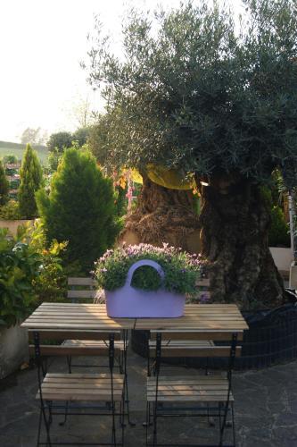 Fotos del hotel - Residenza i Ciclamini