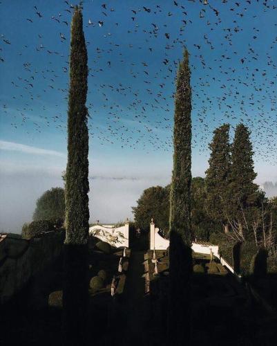 Fotos del hotel - Villa le Piazzole