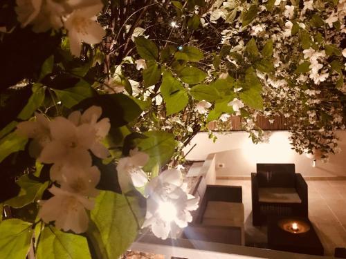 Fotos del hotel - Aruna Suites
