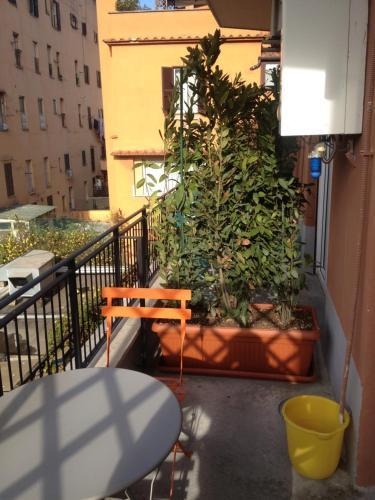 Fotos del hotel - Bed and Breakfast New Morning Holiday