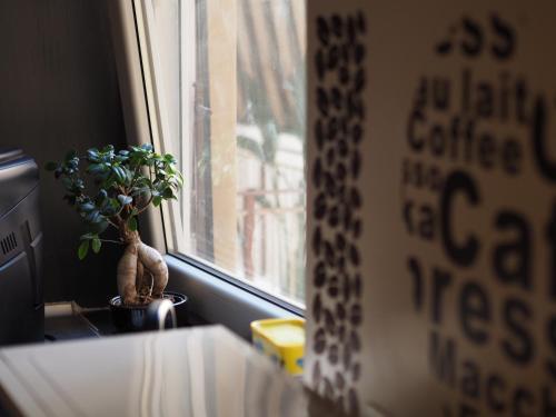 Fotos del hotel - Bed and Breakfast New Morning Holiday