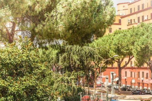 Fotos del hotel - B&B JONIO Roma