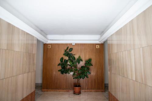 Fotos del hotel - Il Magnificus Boutique