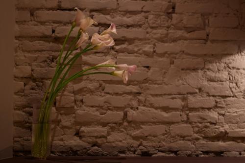 Fotos del hotel - The Place