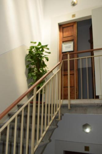 Fotos del hotel - Golden Dream Guest House