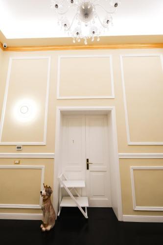 Fotos del hotel - B&B Kingsman