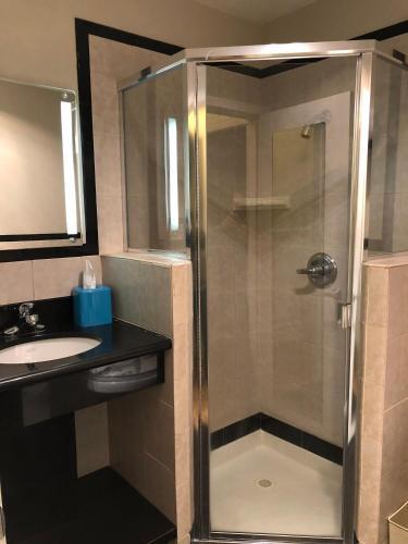 Fotos del hotel - City Center Inn and Suites