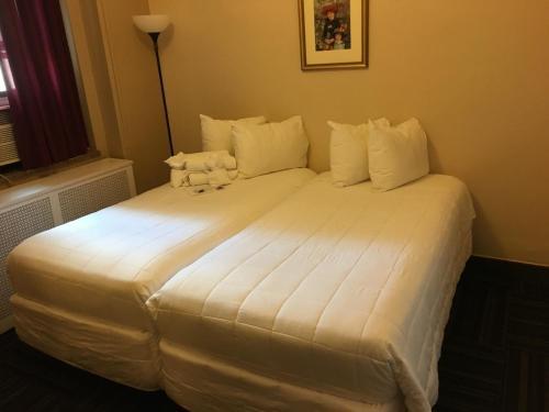 Fotos del hotel - The Leo House