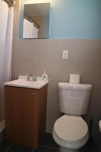 Fotos del hotel - BEACH CORNER MIAMI BEACH