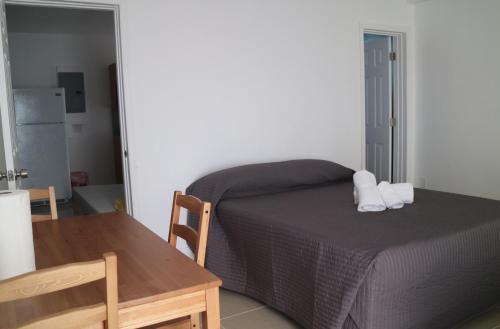 Fotos del hotel - BEACH CORNER MIAMI BEACH