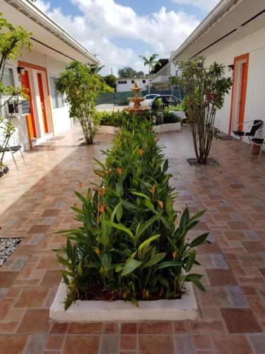 Fotos del hotel - Royal Budget Inn