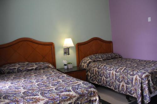 Fotos del hotel - Oak Hotel
