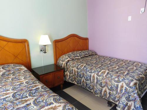 Fotos del hotel - Oak Hotel
