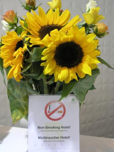 Fotos del hotel - Bayer S