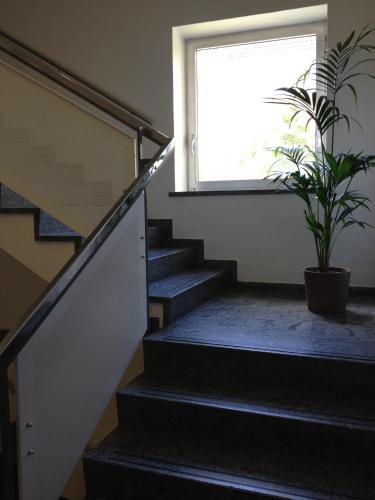 Fotos del hotel - CREO Munich City
