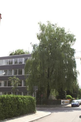 Fotos del hotel - CREO Munich City