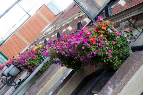 Fotos del hotel - The Brewers Inn