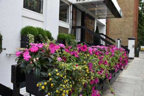 Fotos del hotel - Kensington Court Hotel - Earls Court