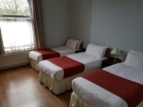 Fotos del hotel - FOREST VIEW HOTEL