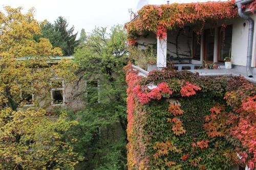 Fotos del hotel - Hotel Wiener Kindl