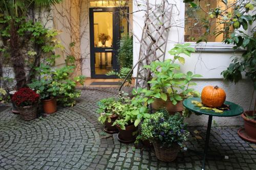 Fotos del hotel - Hotel Wiener Kindl
