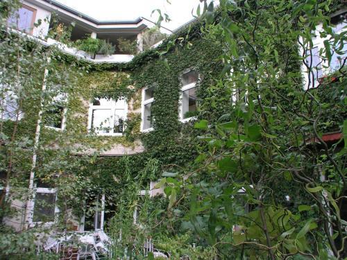 Fotos del hotel - Hotel Wiener Kindl