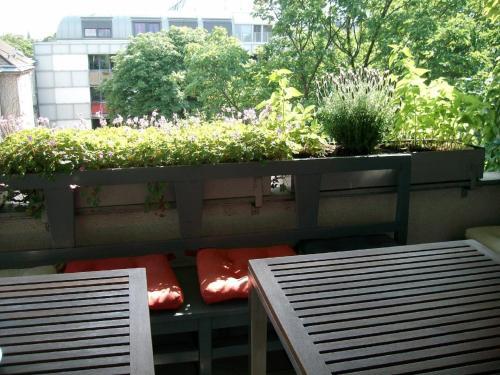 Fotos del hotel - Hotel Wiener Kindl