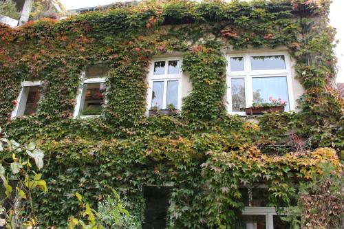 Fotos del hotel - Hotel Wiener Kindl