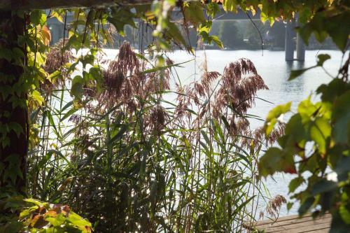 Fotos del hotel - Strandhotel Alte Donau