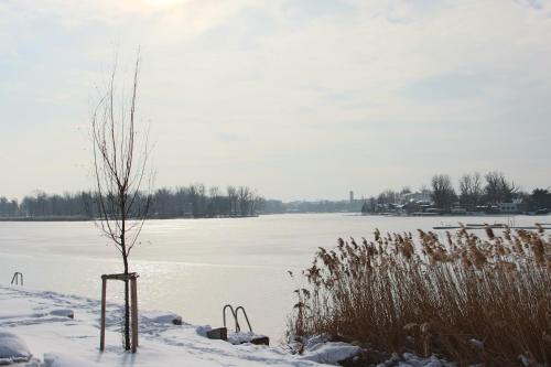 Fotos del hotel - Strandhotel Alte Donau