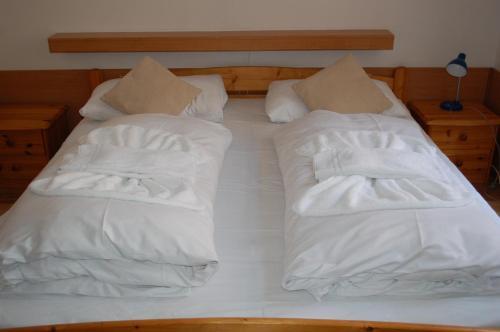 Fotos del hotel - Aparthotel LAAERBERG