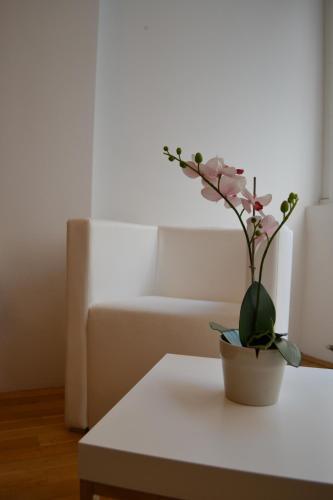 Fotos del hotel - VIENNA INN APARTMENTS