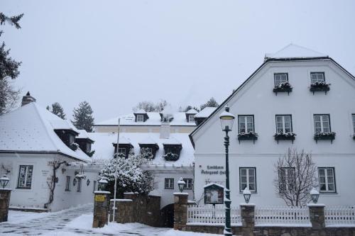 Fotos del hotel - Hotel Landhaus Fuhrgassl-Huber