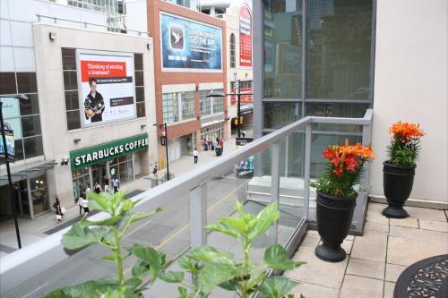 Fotos del hotel - Yonge Suites Furnished Apartments