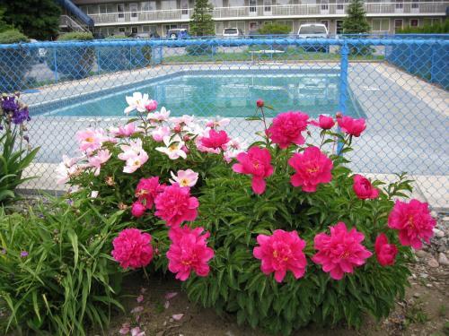 Fotos del hotel - GRAND MOTEL