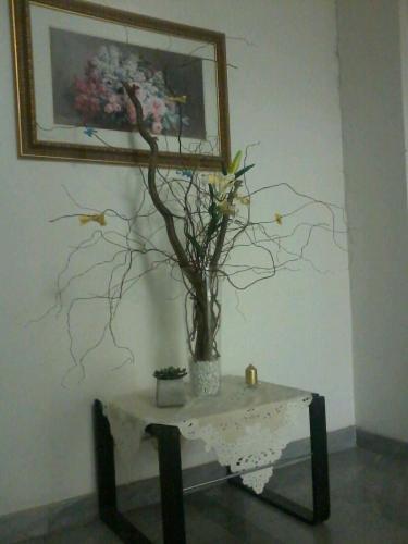 Fotos del hotel - OAZA hotel