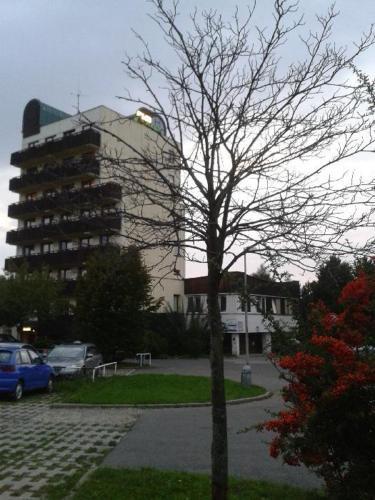 Fotos del hotel - OAZA hotel