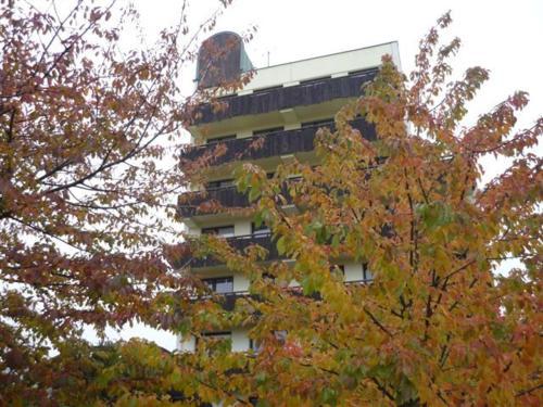 Fotos del hotel - OAZA hotel
