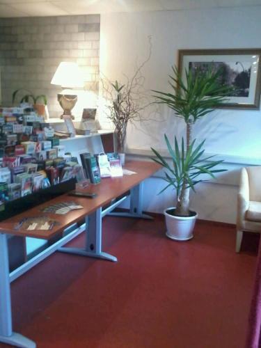 Fotos del hotel - OAZA hotel