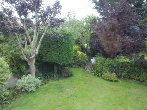 Fotos del hotel - DONNYBROOK LODGE B&B